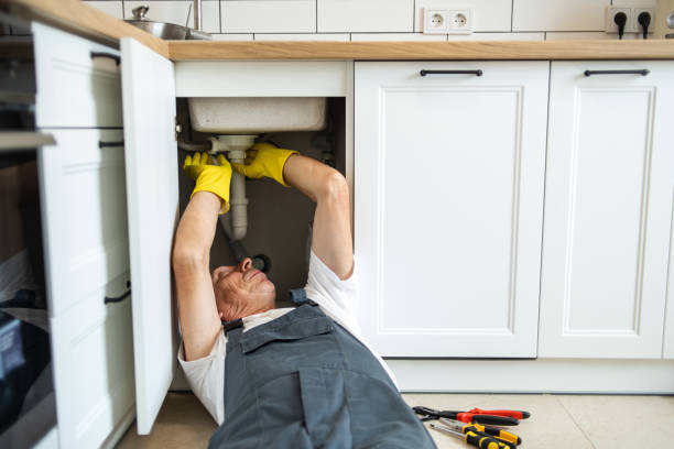 Best Plumbing Services Near Me  in Sterling, AK